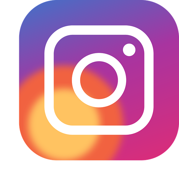 icon, button, instagram logo